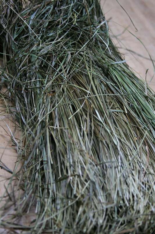 Süßgras/Mariengras (Hierochloe odorata) 50g - Das Duftwunder der Indianer