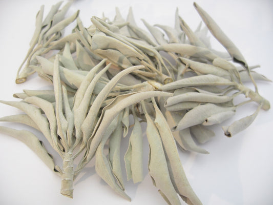 Kalifornischer Premium Weißer Salbei (Salvia Apiana) - 100 gr.
