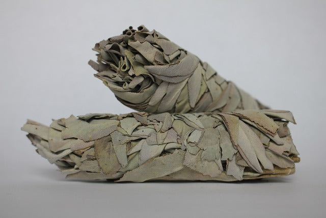 Neues Jahr, Neues Ich: Ausräuchern mit Weißen Salbei zur spirituellen Erneuerung