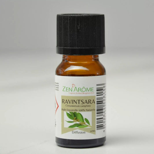 Zen Arome Ätherisches Öl – Ravintsara – 10 ml