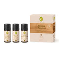 Primavera Set Aroma Sauna Harmonie und Erdung mit drei Flaschen