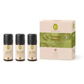 Primavera Aroma Sauna Set Frische und Energie mit drei 10-ml-Flaschen
