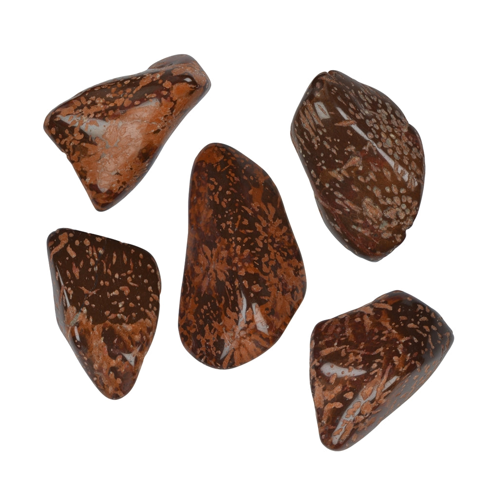 Tumbled stones star rhyolite "star jasper" 2.0 - 3.0cm 50g