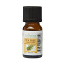 Zen Arome ätherisches Teebaumöl in der 10-ml-Flasche
