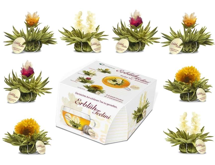 Creano ErblühTeelini Weißtee - 8er Box