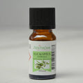 Zen Arome ätherisches Eukalyptusöl in der 10-ml-Flasche