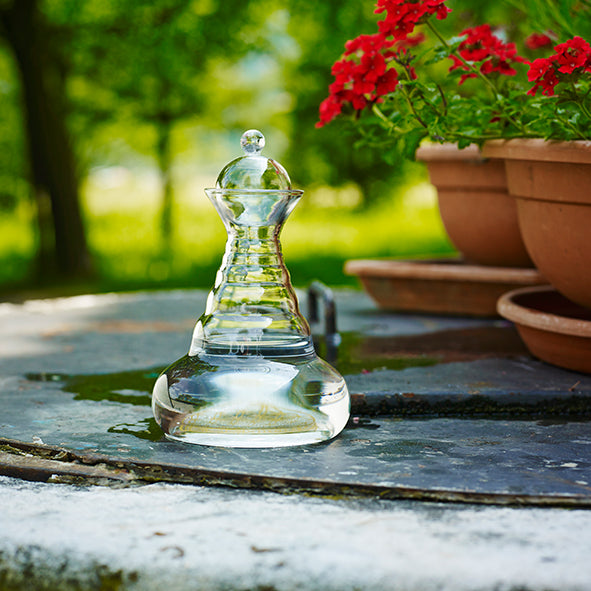 Delicate carafe 0.5 liters - gold