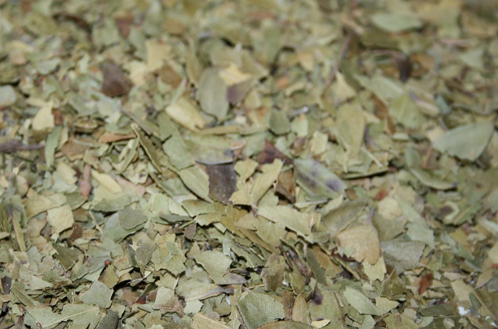 Myrtle leaves (Myrtus communis) 100g