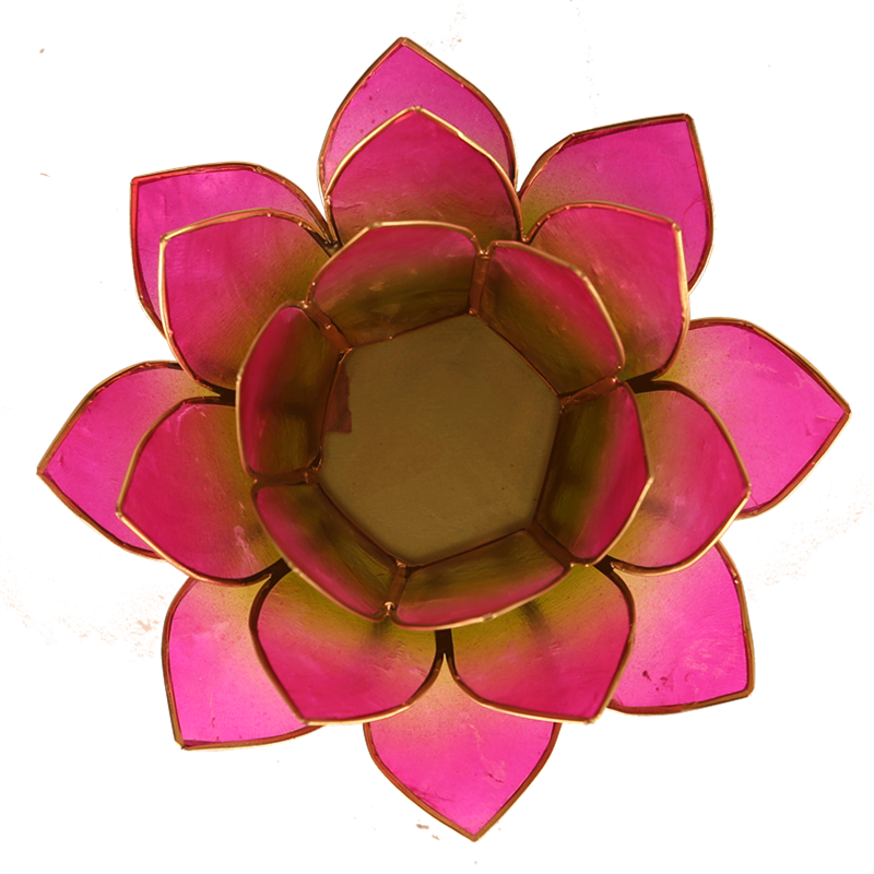 Lotus Teelichthalter grün/pink goldfarbig