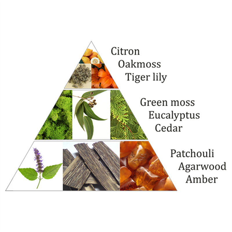 Aromafume Weihrauchblöcke Forest Dew