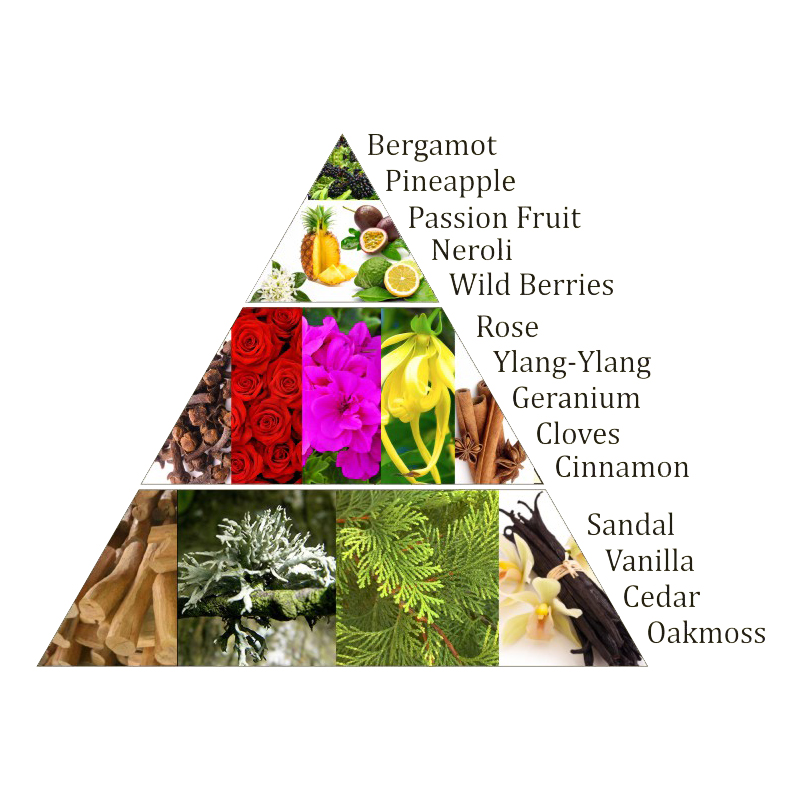 Aromafume Chakra-Weihrauchblöcke 4. Chakra