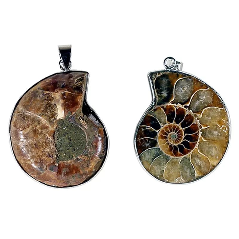 Ammonite pendant