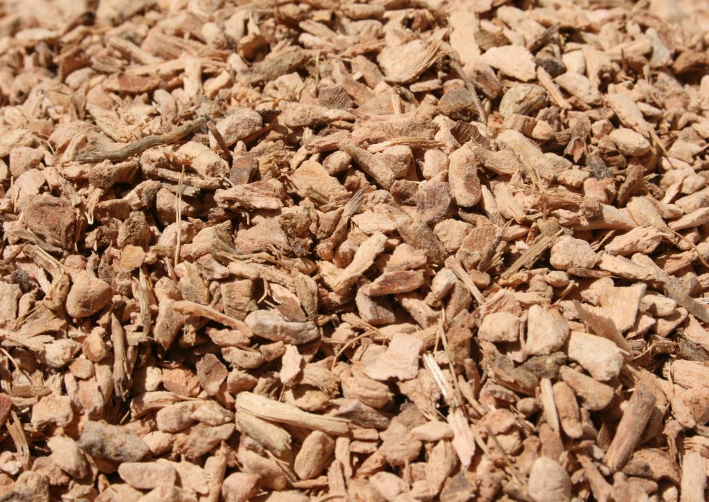 Galgantwurzel (Alpinia officinarum) 100g - Für Tee, Räuchern und Aromatherapie