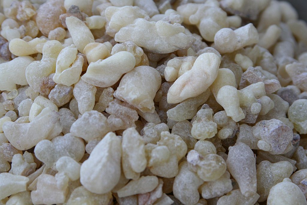 Klura Oman Superior Weihrauch aus Boswellia sacra