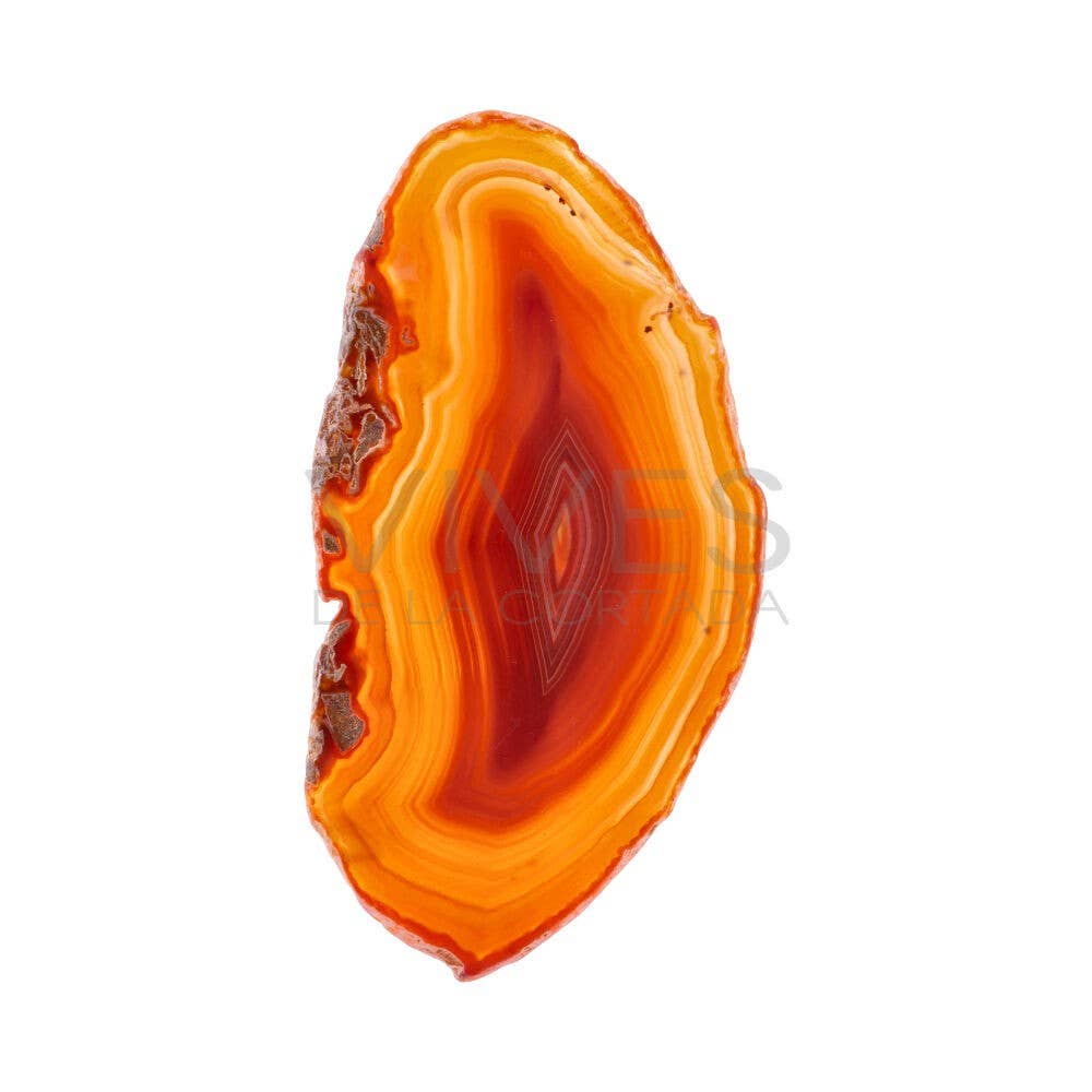 Brasilianische Braune Achat Scheibe - Ein Hauch von Natürlichkeit für Ihr Zuhause