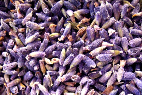 Lavendelblüten 1a blau (Lavandula angustifolia 1a blau) 100g