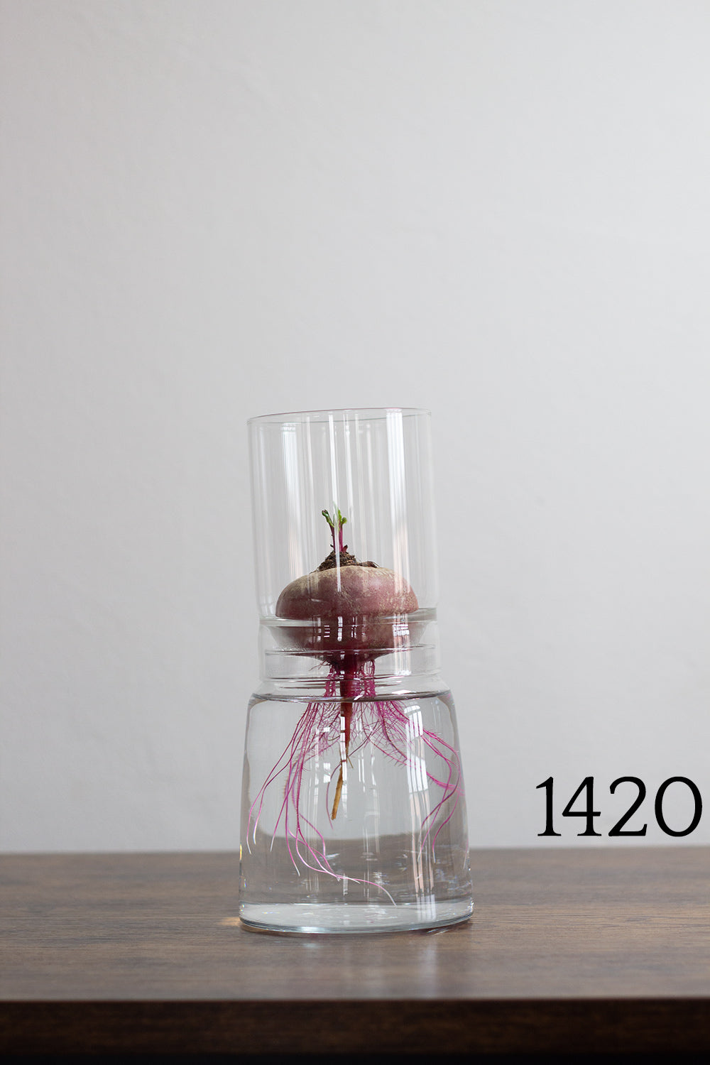 Anzuchtglas-Set 13 cm