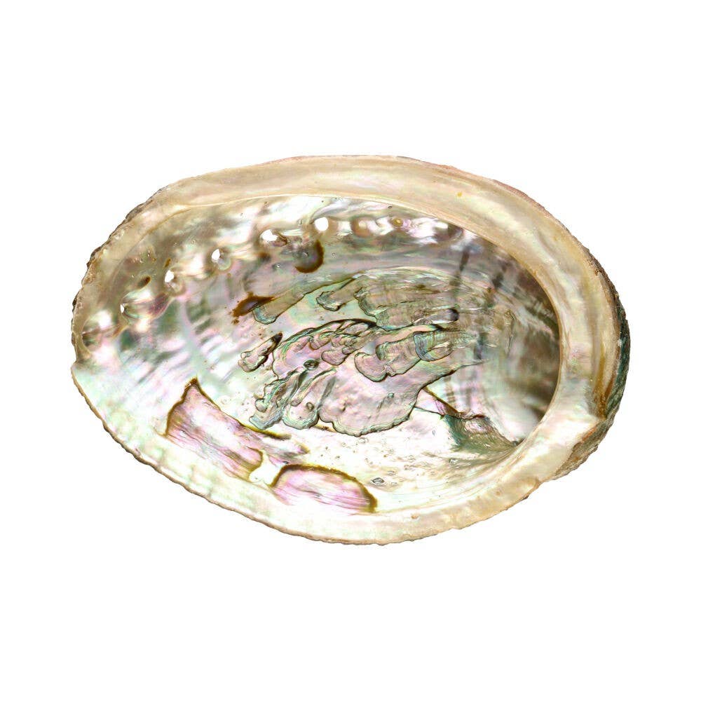 Klura kleine Abalone-Schale mit schimmernder Innenseite