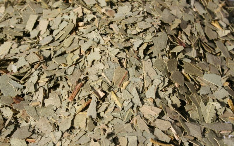 Eucalyptusblätter (Eucalyptus foliosa) 100g - Vielseitig für Tee, Räuchern und Aromatherapie