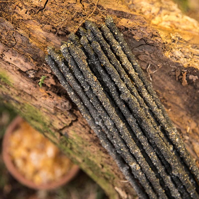 Sagrada Madre Natural Räucherwerk - Weihrauch (Olibanum)