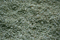 Klura getrocknetes Damianakraut