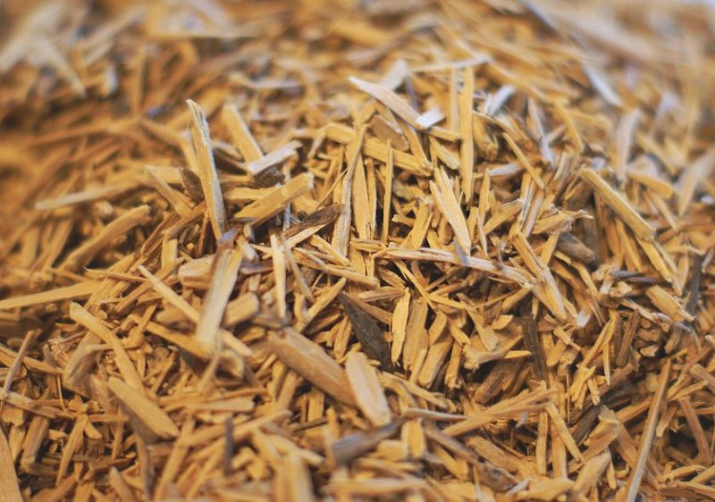 Klura Muira-Puama-Holz Ptychopetalum olacoides in der 100-g-Packung