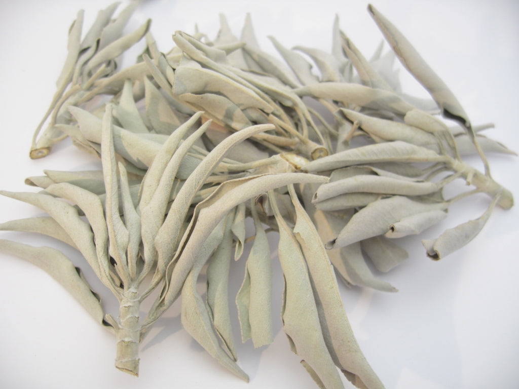 Premium White Sage (Salvia Apiana) 100 gr.
