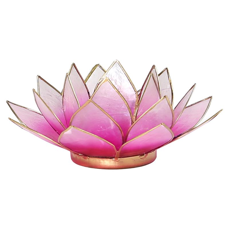 Lotus Teelichthalter rosa/weiß goldfarbig aus Capiz Muscheln - Eleganz in Licht getaucht