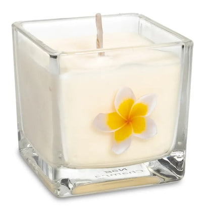 Ecological rapeseed wax scented candle Nag Champa