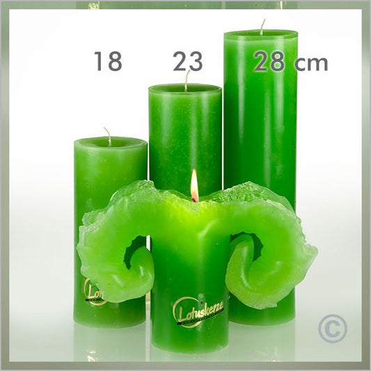 Lotus candle green