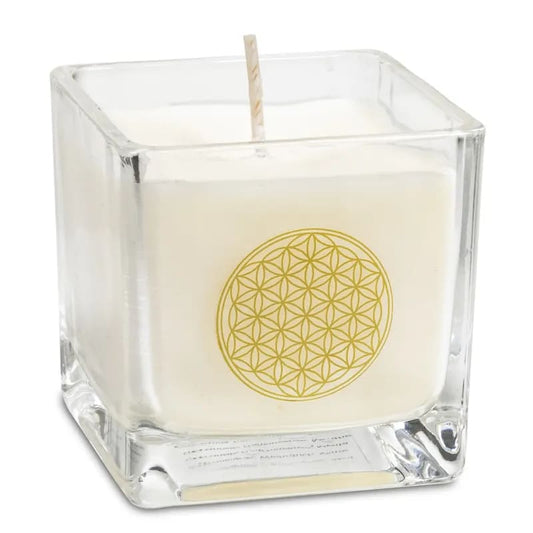 Ecological scented candle rapeseed wax flower of life