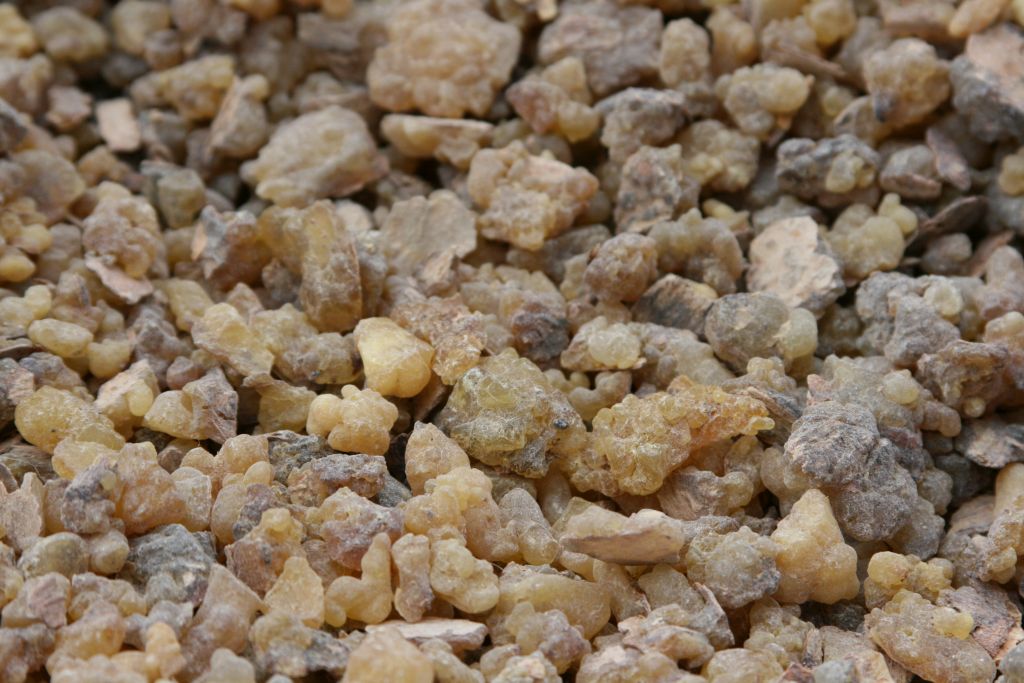 Klura Moxor Weihrauch aus Boswellia sacra