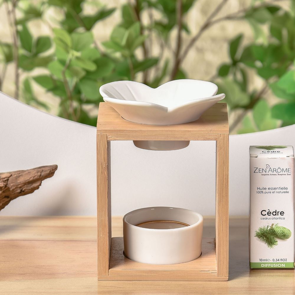 Duftbrenner Serie Naturéa - Plumeria: Schlichte Eleganz mit einem Hauch von Natur