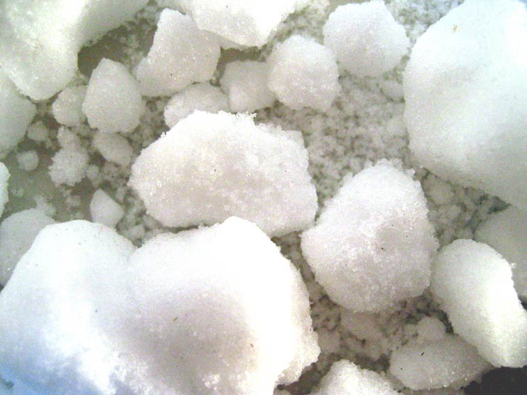 Kampfer (Camphora natura) - 50g -  naturrein