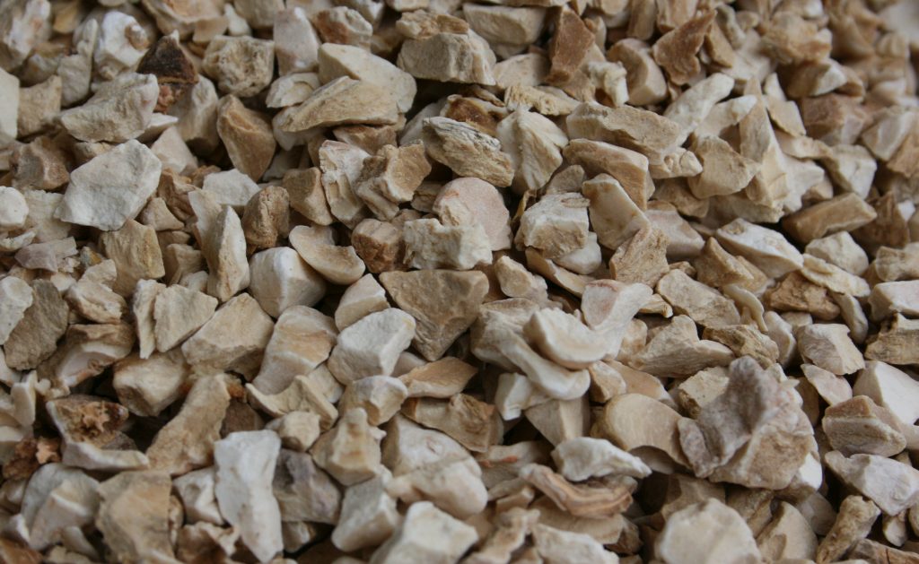 Premium Iriswurzel / Veilchenwurzel (Iris tingitana) - 100g