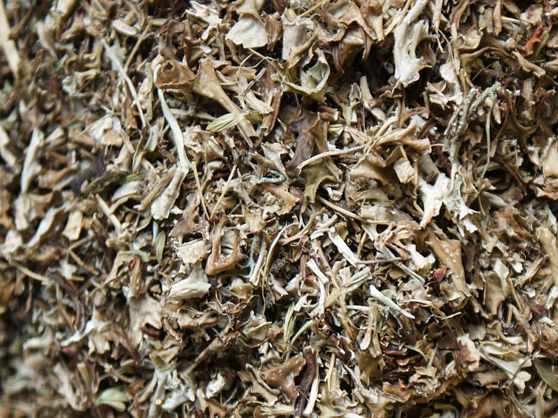 Premium Island Moos (Cetraria islandica) - 100g Natürliche Räuchermischung