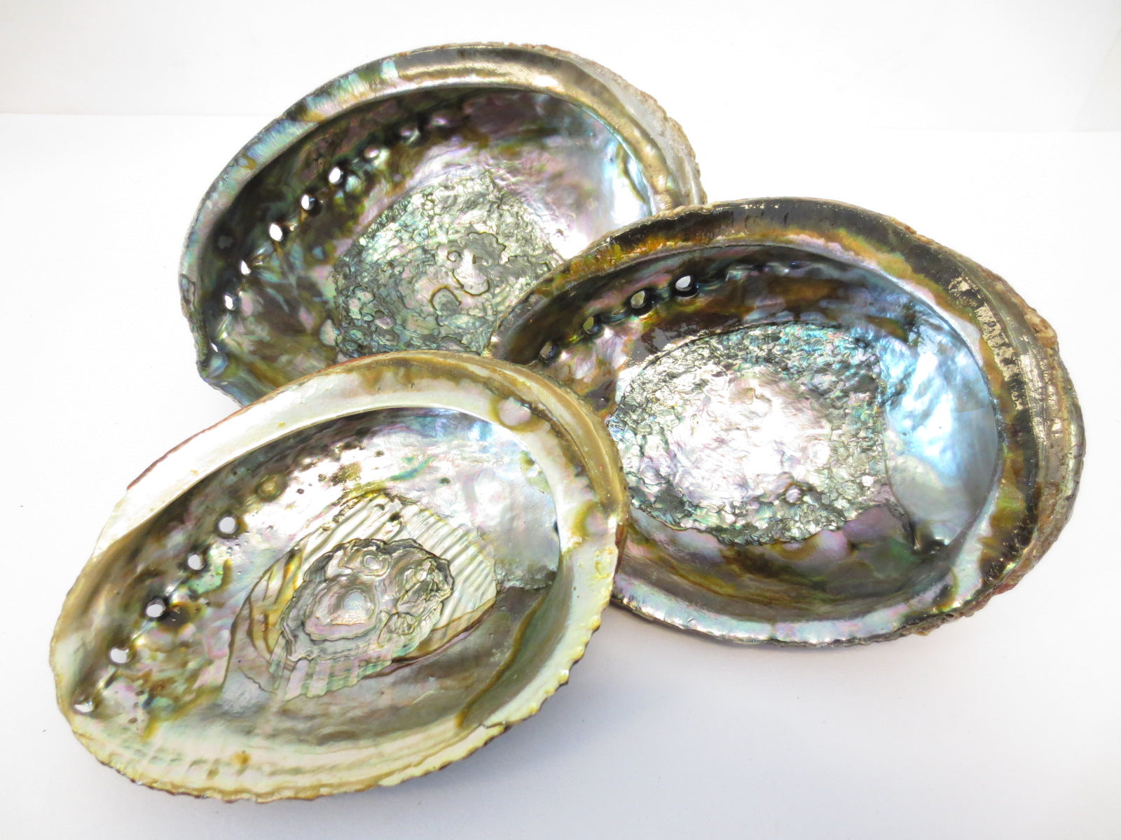 Klura Set aus drei grünen Abalone Ohrmuscheln