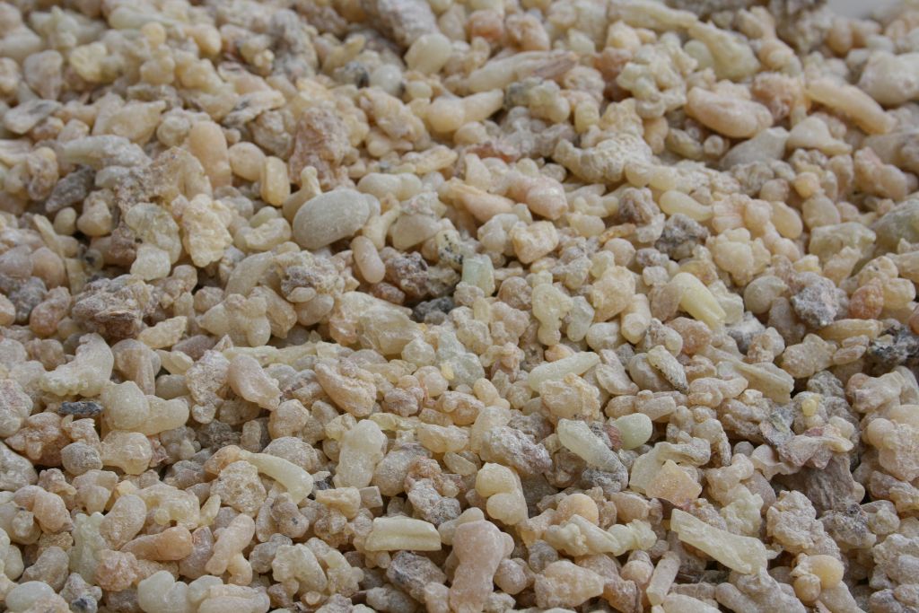 Indischer Weihrauch I. Wahl (Boswellia serrata) - 100g, Exzellente Qualität für Ihre Räucherungen