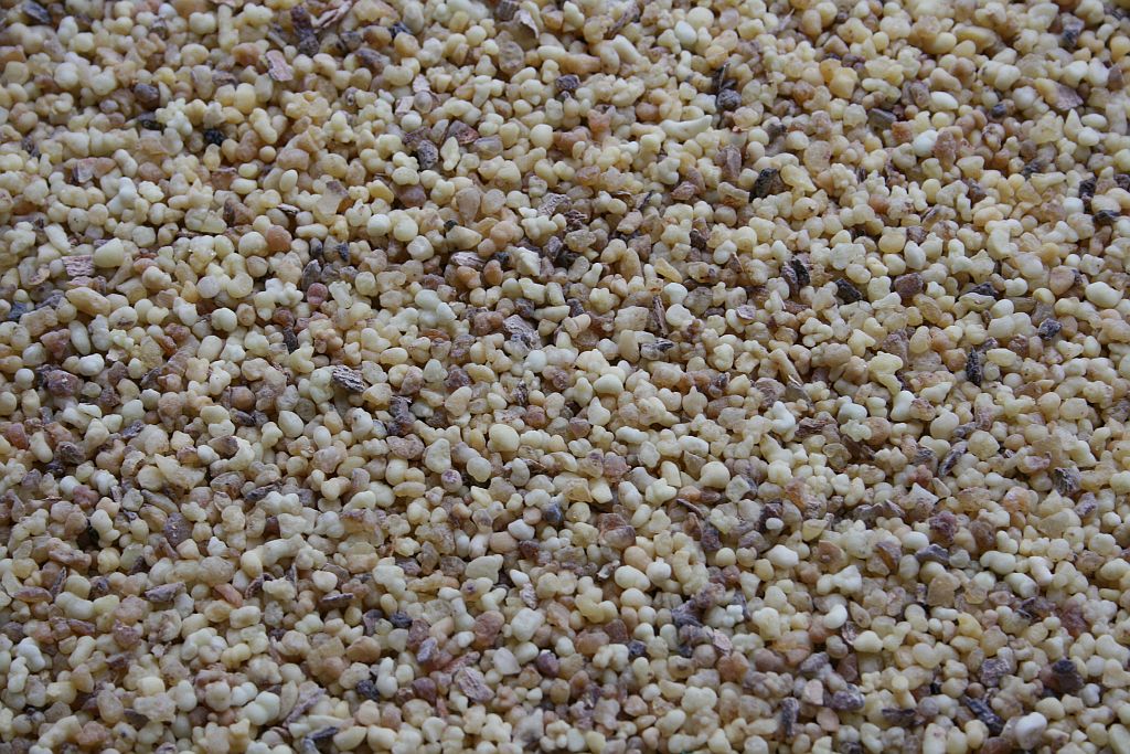 Eritrea-Olibanum Siftings (Boswellia papyrifera) - 100g kostbares Räucherharz