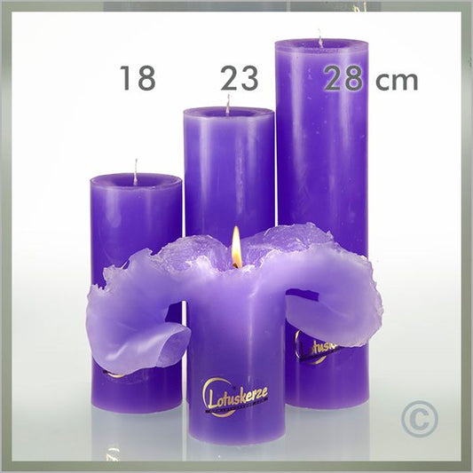 Lotus candle purple