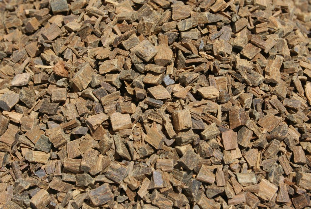 Guajakholz (Guaiacum officinale) 100g - Holziger und erdiger Duft für natürliche Inspiration